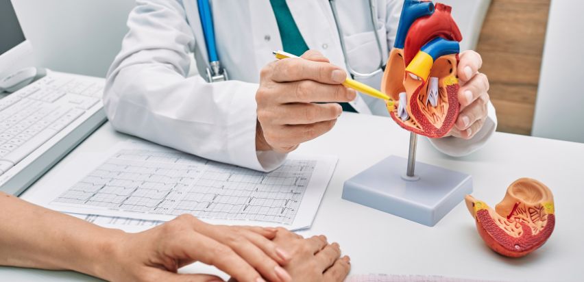 A doctor is pointing with a pen to a plastic model of a heart while speaking to a patient on the other side of his desk.